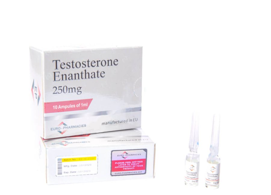 Testosterone Enanthate 250mg/ml - 10 x 1ml - Euro Pharmacies